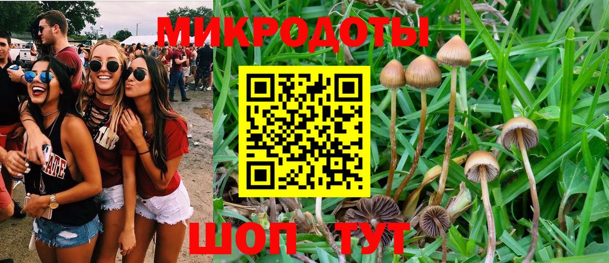 Псилоцибиновые грибы мицелий Великий Устюг