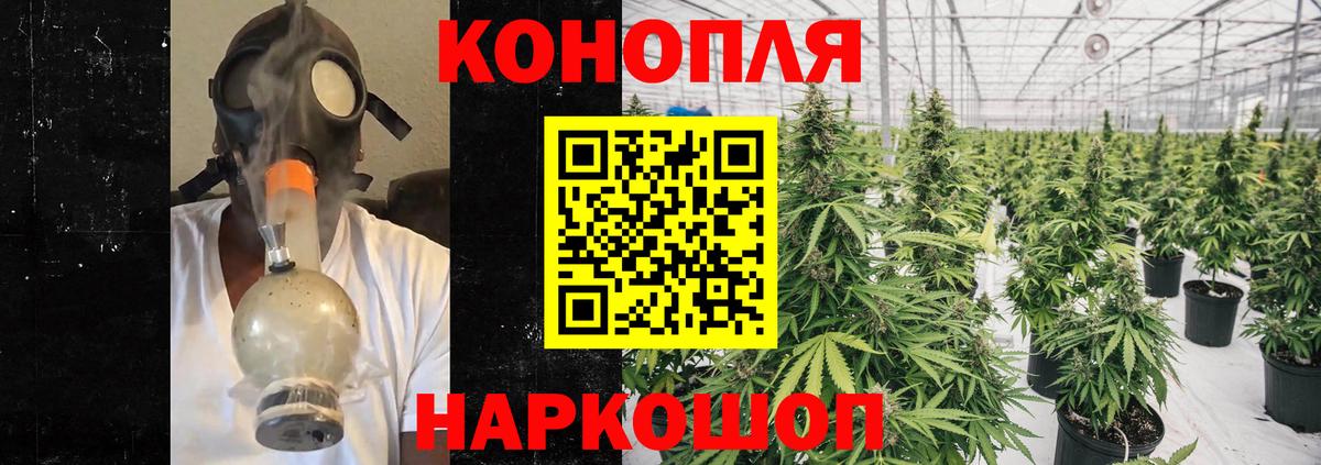 Шишки марихуана сатива  Вход с VPN  Марихуана Bruce Banner  Великий Устюг 